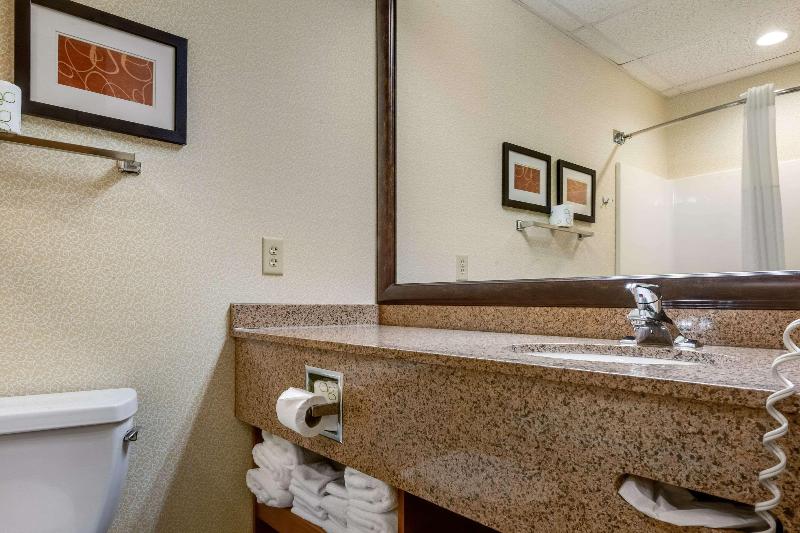 Comfort Suites Hotel and Conference Center image