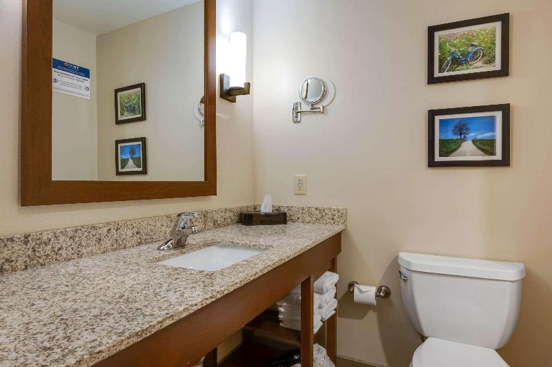 Comfort Suites Hotel and Conference Center image