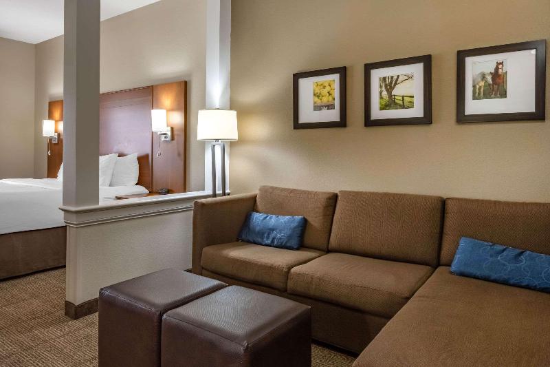 Comfort Suites Hotel and Conference Center image