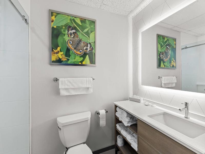 Comfort Suites Hotel and Conference Center image
