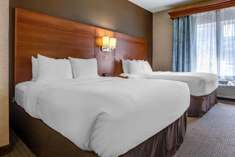 Comfort Suites Hotel and Conference Center image