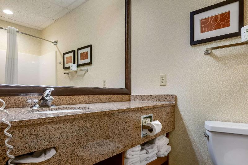 Comfort Suites Hotel and Conference Center image