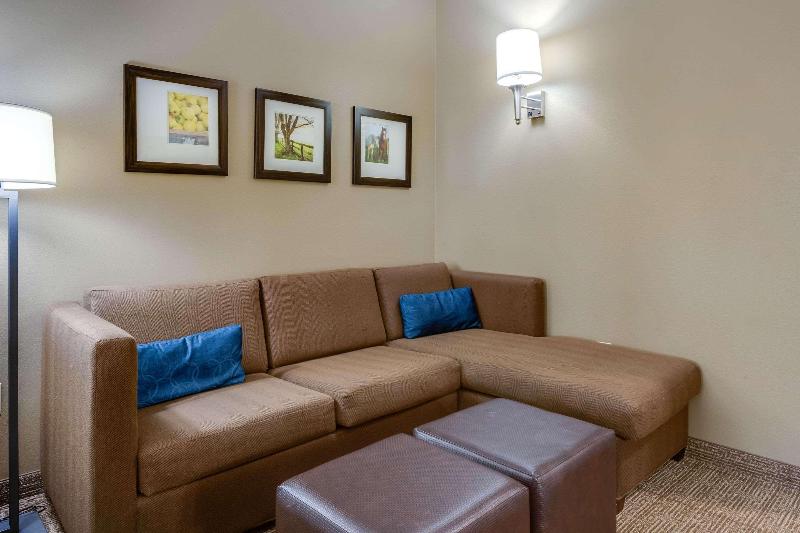 Comfort Suites Hotel and Conference Center image