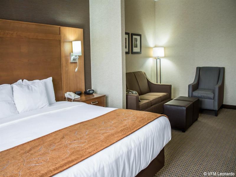 Comfort Suites Hotel and Conference Center image
