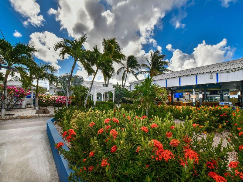 Aruba Blue Village image