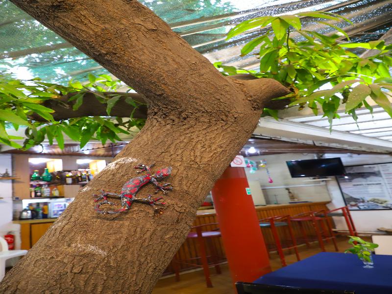 Oceanic Hotel Dakar image