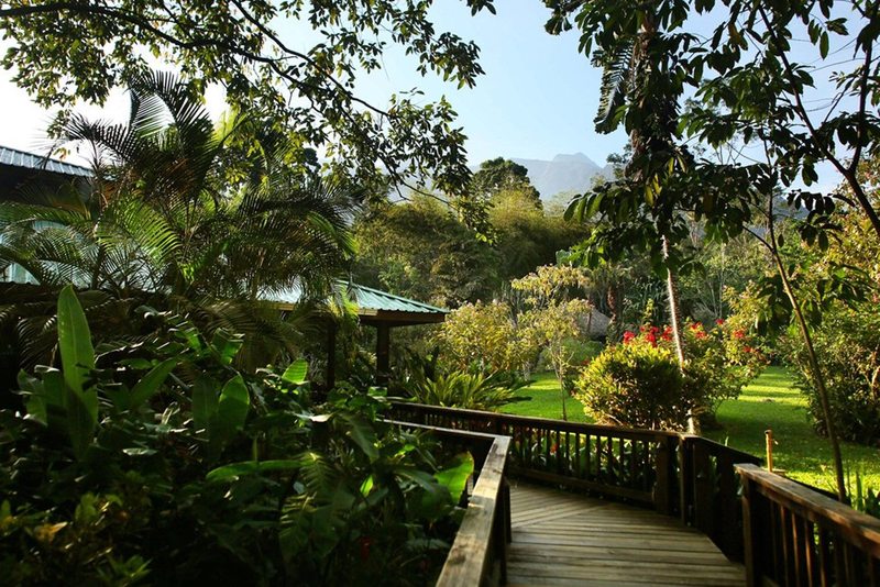 The Lodge at Pico Bonito image