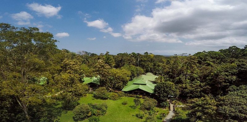 The Lodge at Pico Bonito image