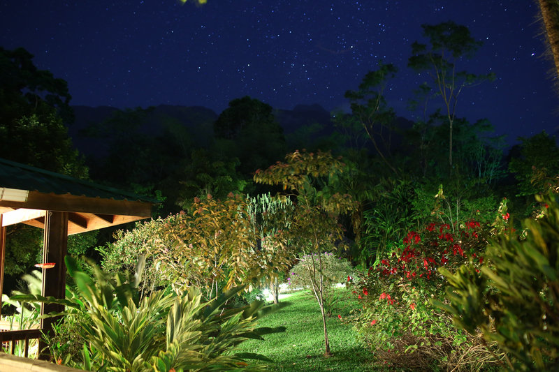 The Lodge at Pico Bonito image