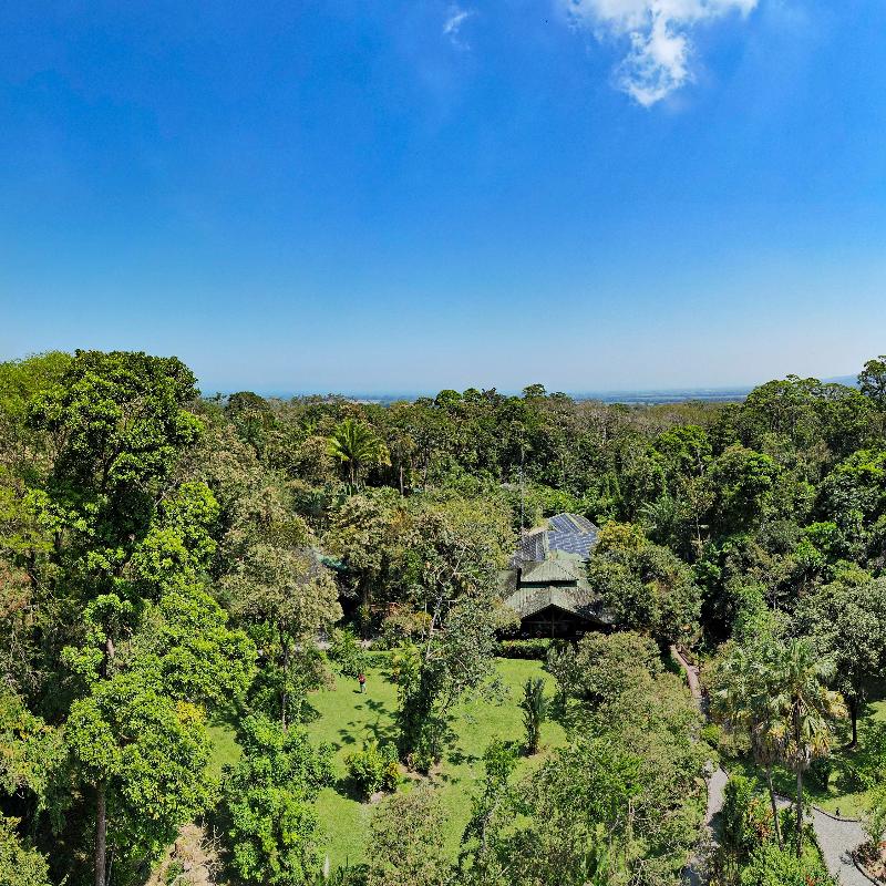 The Lodge at Pico Bonito image