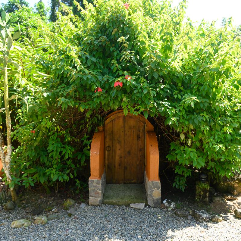 The Lodge at Pico Bonito image
