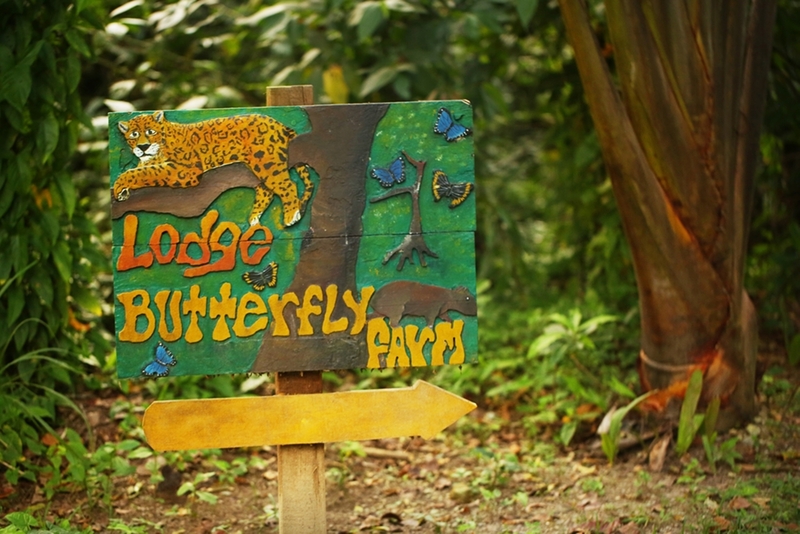 The Lodge at Pico Bonito image