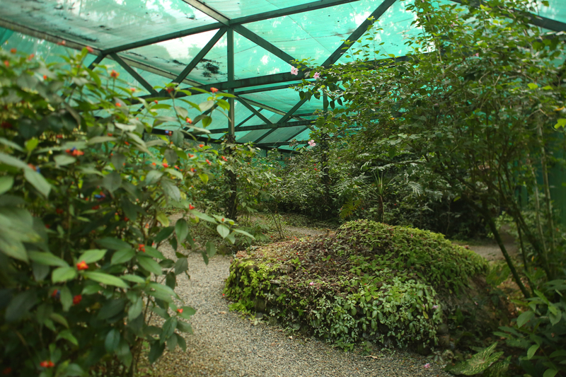 The Lodge at Pico Bonito image