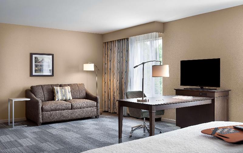 Hampton Inn & Suites Fort Mill image