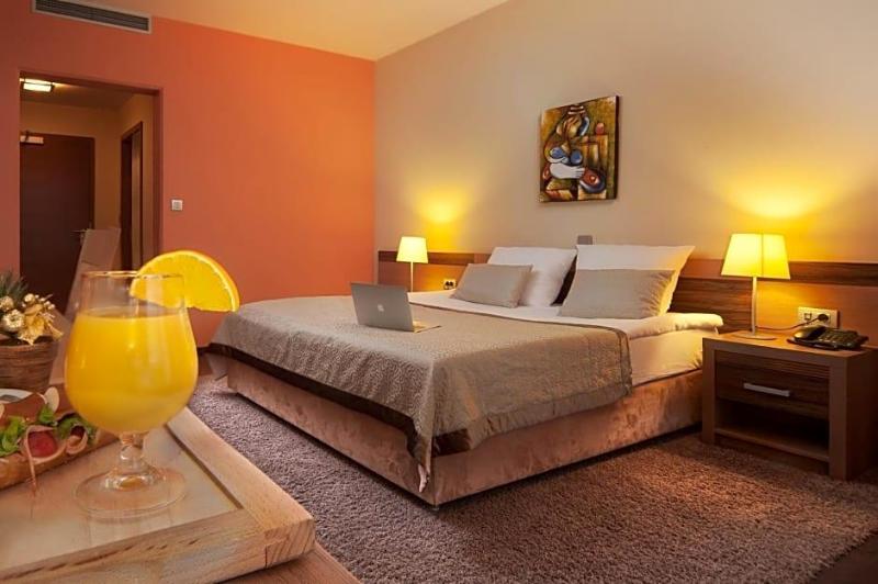 Hotel Kras image