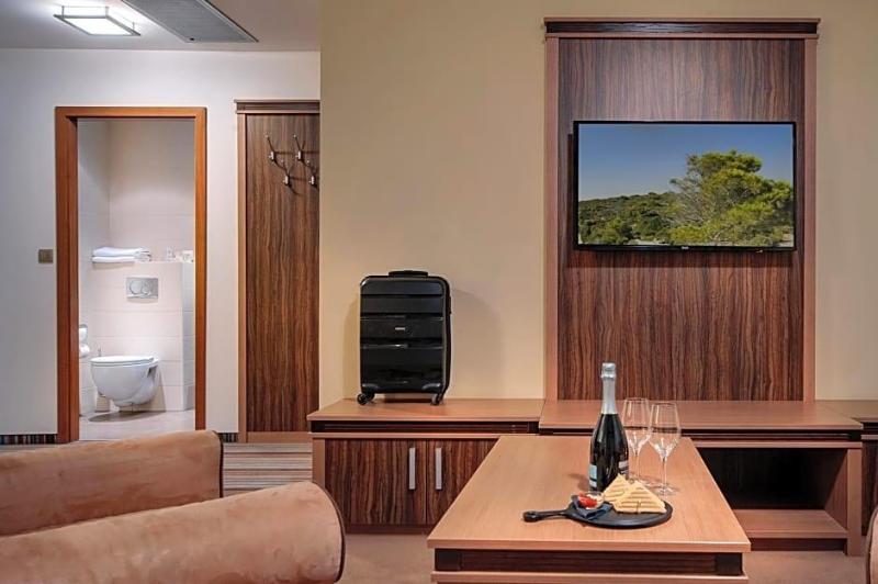 Hotel Kras image