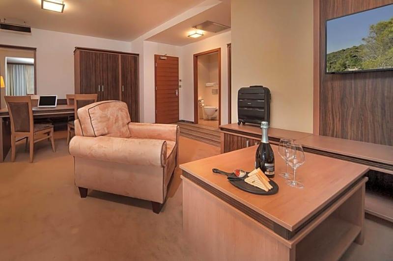 Hotel Kras image