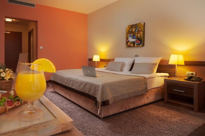 Hotel Kras image