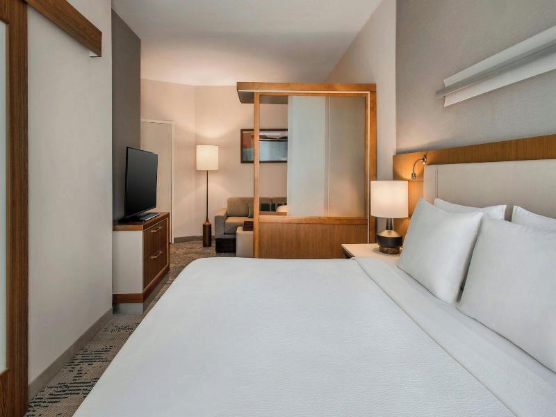SpringHill Suites Buffalo Airport image