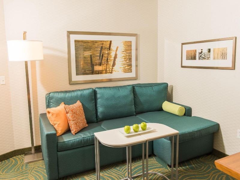 SpringHill Suites Buffalo Airport image