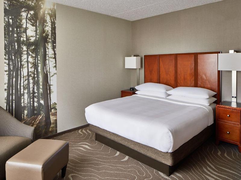 Detroit Metro Airport Marriott image