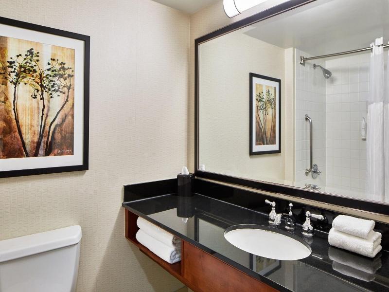 Detroit Metro Airport Marriott image