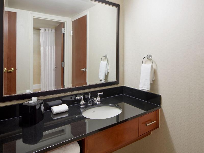 Detroit Metro Airport Marriott image
