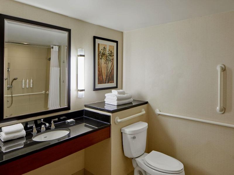 Detroit Metro Airport Marriott image
