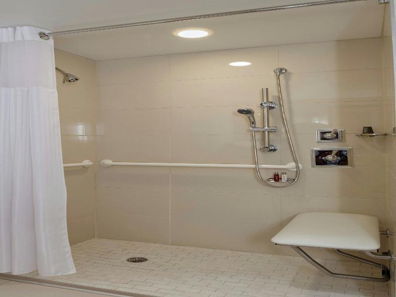 Detroit Metro Airport Marriott image
