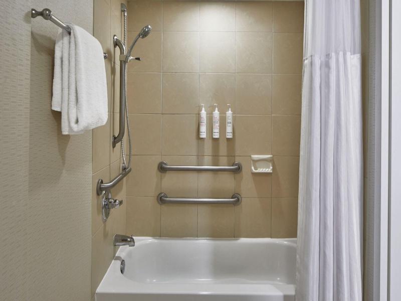 Detroit Metro Airport Marriott image
