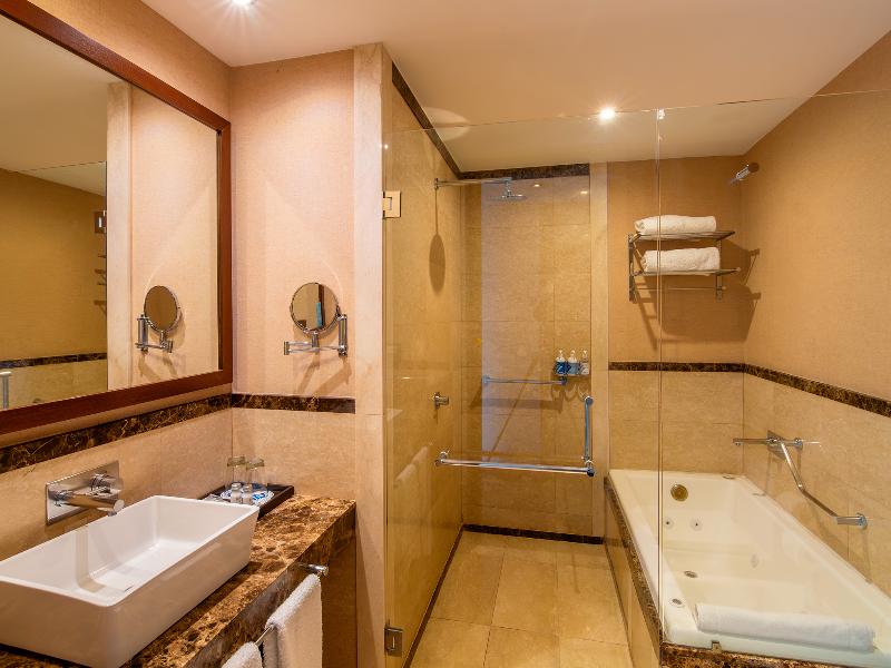 Wyndham Nordelta Tigre Buenos Aires image