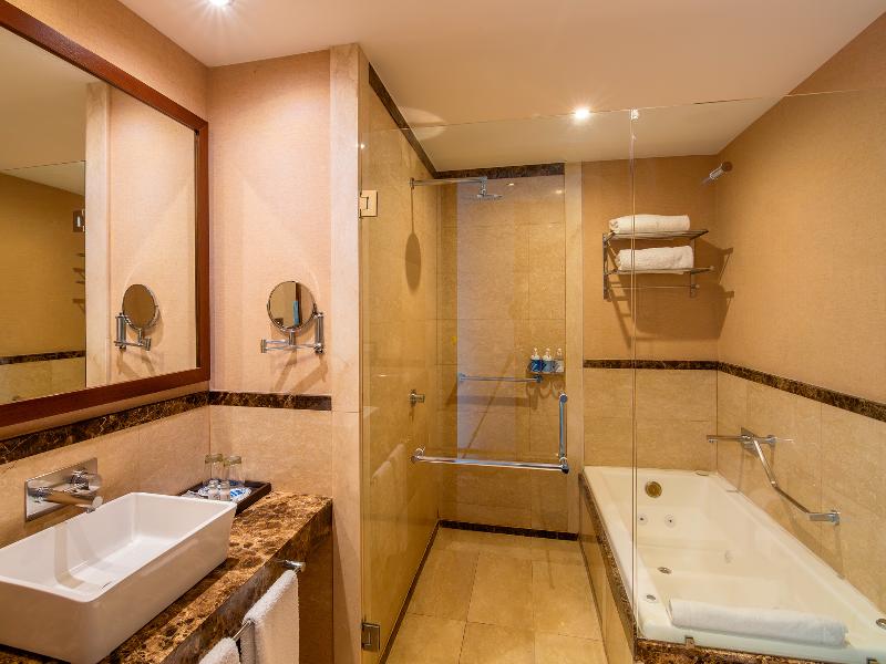 Wyndham Nordelta Tigre Buenos Aires image