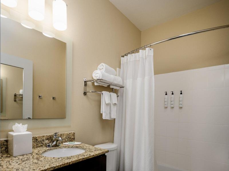 TownePlace Suites Houston Galleria Area image