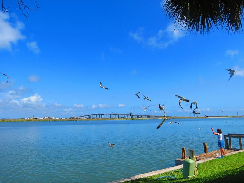 Multi-Resorts at Puente Vista