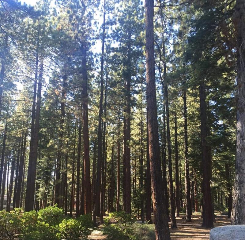 Club Tahoe image