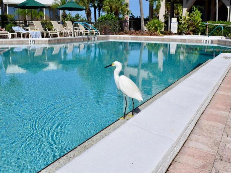 Caribbean Beach Club image