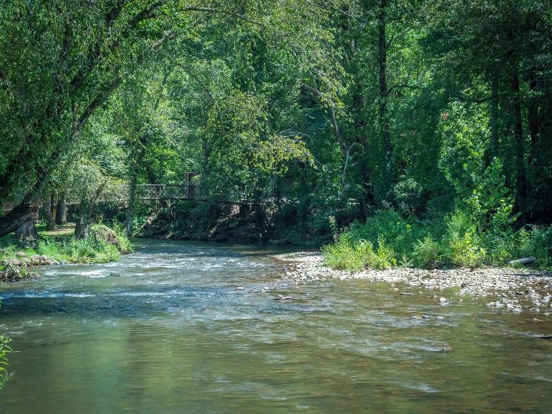 Loreley image
