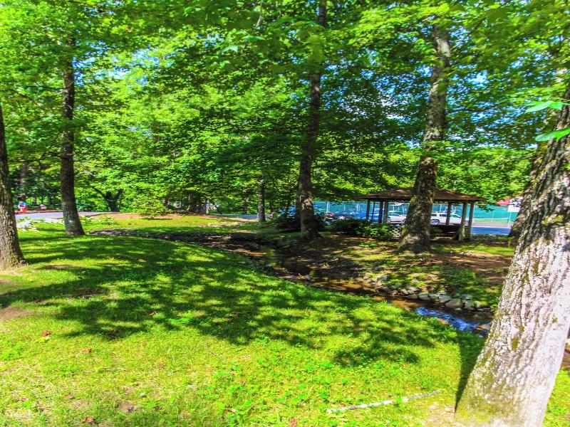Alpine Crest/Resort Club of Helen image