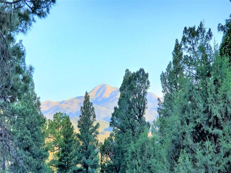 High Sierra