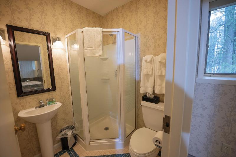 Peek N Peak Resort Trademark Collection By Wyndham image