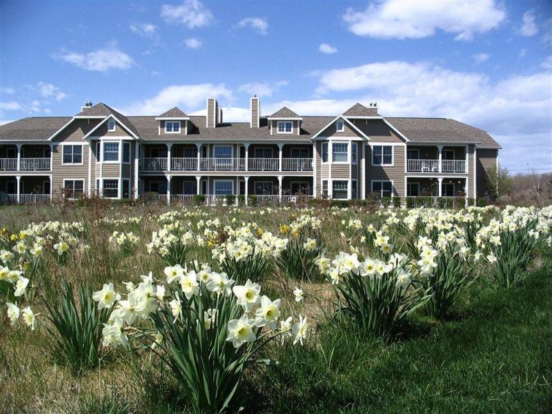 Newport Resort image