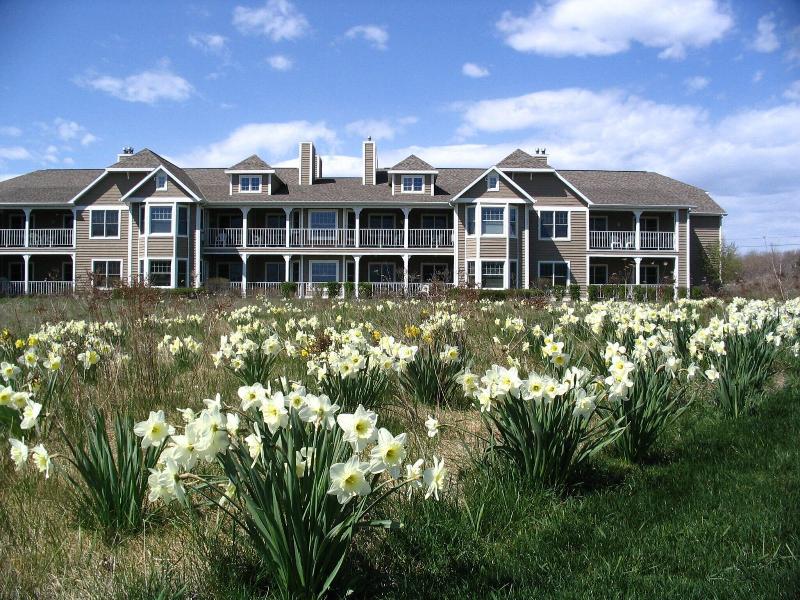 Newport Resort image 9