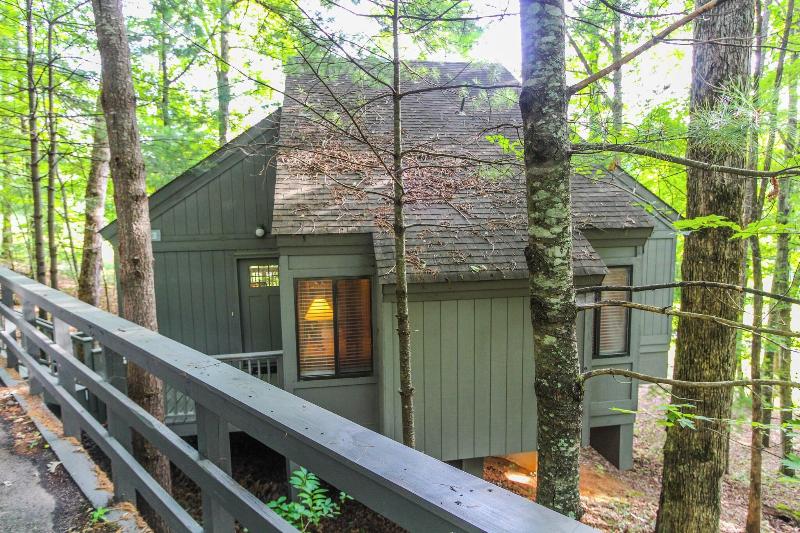 Golf Club Villas at Big Canoe image