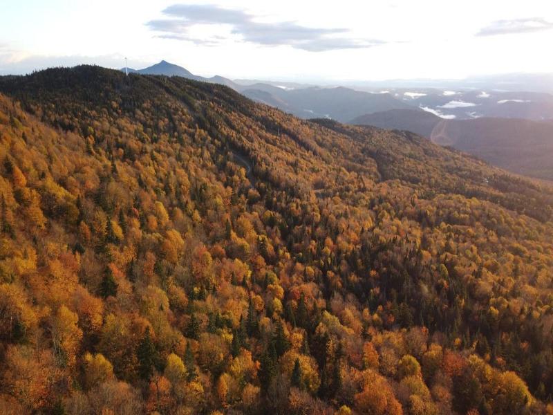 Bolton Valley Resort image