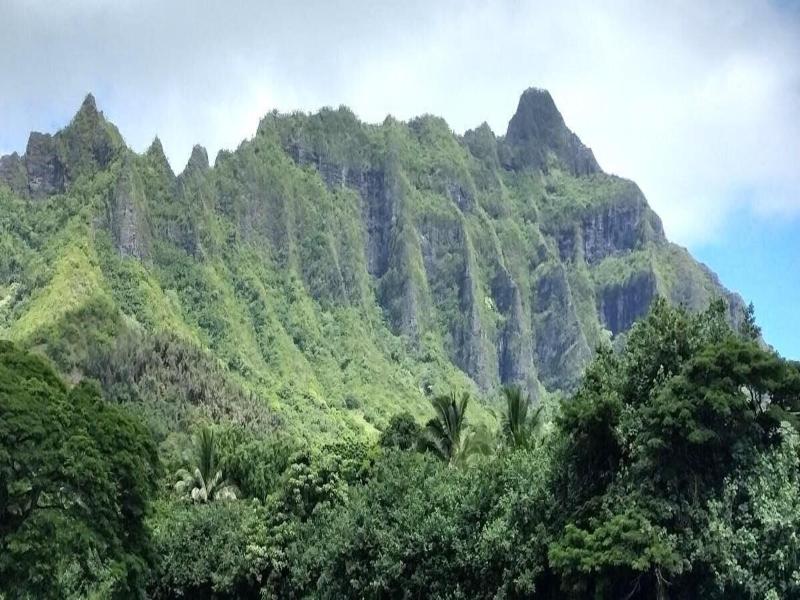 Vacation Internationale Royal Kuhio image