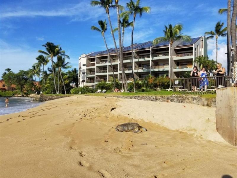 Hale Mahina 