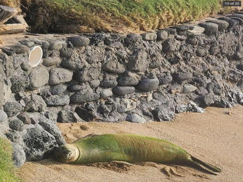 Hale Mahina 