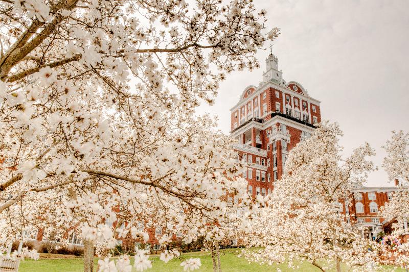 The Omni Homestead Resort image