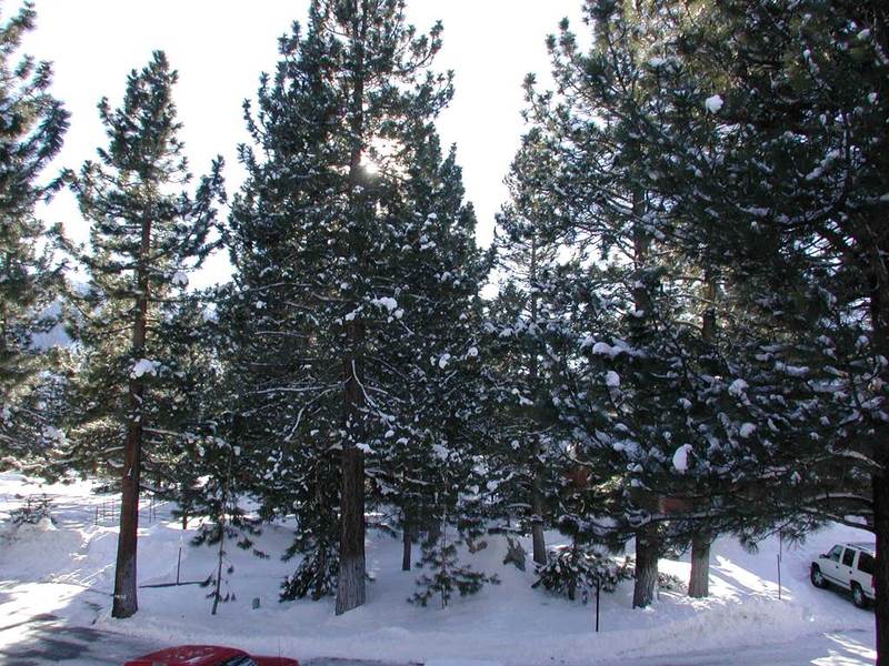 Snowcreek Resort — photo 3