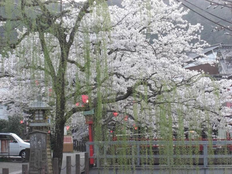 Ryokan Matsuya image